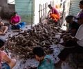 Orientação técnica busca preparar produtores rurais de Alagoas para impactos climáticos do El Niño