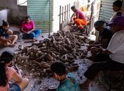 Orientação técnica busca preparar produtores rurais de Alagoas para impactos climáticos do El Niño