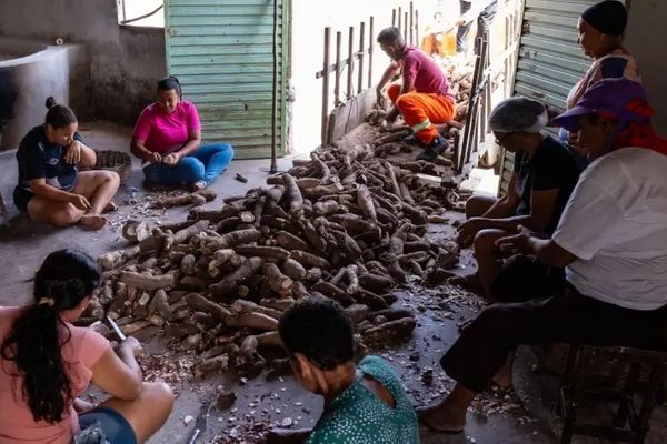 Orientação técnica busca preparar produtores rurais de Alagoas para impactos climáticos do El Niño