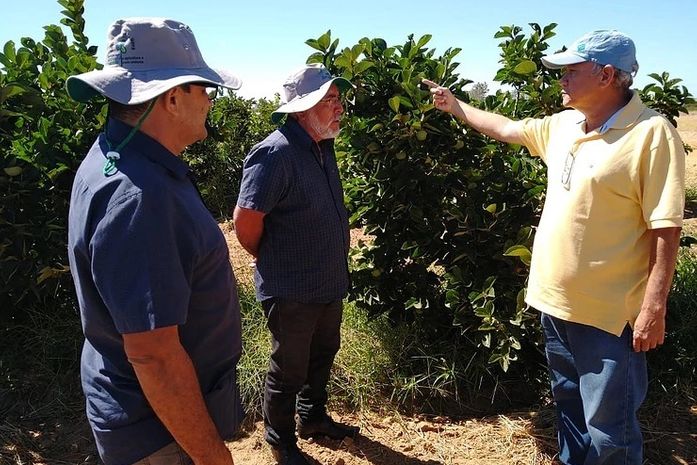 Parceria entre Delmiro Gouveia e Embrapa traz melhorias para agricultores