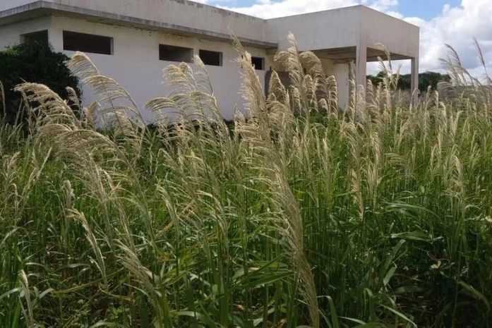 UBS em Arapiraca está abandonada e transformada em verdadeiro matagal