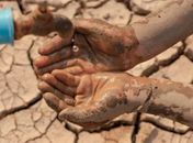 O sonho do menino quilombola alagoano é tomar um banho de chuveiro, mas, olha que legal, em novembro tem festejos  para o povo negro