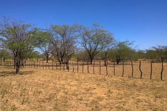 Governo Federal reconhece situação de emergência em Boqueirão e Parari por causa da estiagem Governo Federal reconhece situação de emergência em Boqueirão e Parari por causa da estiagem