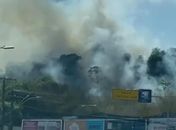 Incêndio em terreno na Gustavo Paiva mobiliza 12 bombeiros; veja vídeo