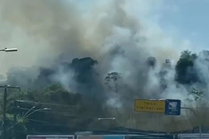 Incêndio em terreno na Gustavo Paiva mobiliza 12 bombeiros; veja vídeo