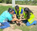 Pão de Açúcar planta futuro com ações ambientais e educação ecológica