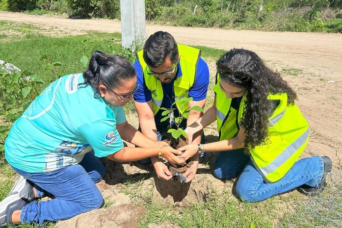 Pão de Açúcar planta futuro com ações ambientais e educação ecológica