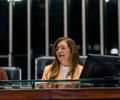 Projeto de Dra. Eudócia cria regras para o uso de inteligência artificial na saúde

