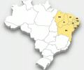 "Nordeste em Alta Velocidade: O Vetor Transformador que o País Precisa Desvendar"