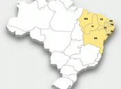"Nordeste em Alta Velocidade: O Vetor Transformador que o País Precisa Desvendar"