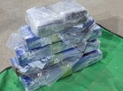 Com ajuda de cães farejadores, polícia apreende 5 kg de maconha em bagagem de ônibus, na BR-101; motorista foi preso em flagrante