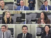 Parlamentares reforçam apoio aos agentes de saúde e endemias