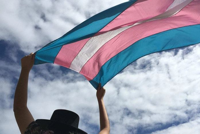 Judiciário realiza audiências para retificação de registro de pessoas trans
