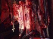 Carnes estavam sendo transportadas sem refrigeração.