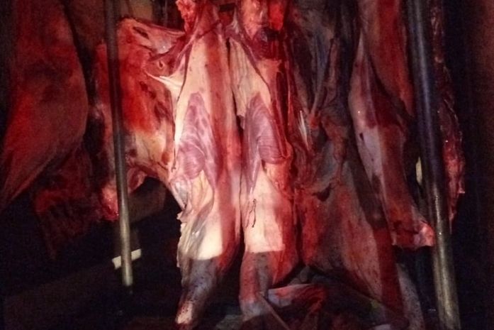 Carnes estavam sendo transportadas sem refrigeração.