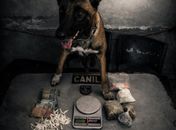 Três suspeitos acabam presos e drogas apreendidas durante ação da PM no Agreste de Alagoas