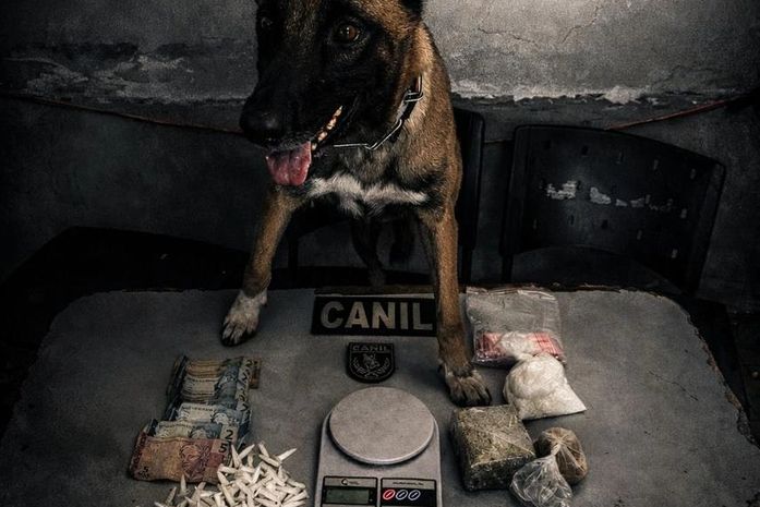 Três suspeitos acabam presos e drogas apreendidas durante ação da PM no Agreste de Alagoas