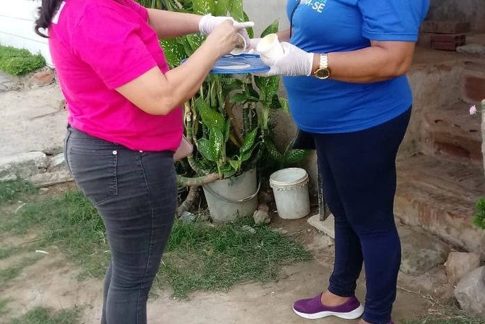 Prefeitura de União dos Palmares finaliza segunda etapa de ação em combate às moscas