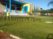 Arapiraca tem o maior índice de Covid-19 em Alagoas 