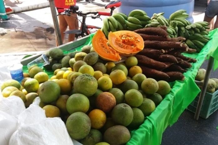 Feira Orgânica da Semarh acontece nesta terça-feira (5), em Jacarecica