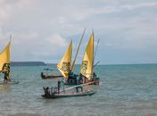 Emoção nas Ondas: Barra de Santo Antônio Brilha na 19ª Regata de Jangada com Prêmios de R$ 5 Mil