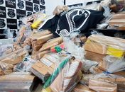 Após varredura em celular de alagoano polícia de Goiás apreende 700kg de maconha