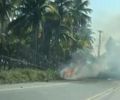 Queda de coqueiro provoca incêndio em rodovia, no litoral; veja vídeo
