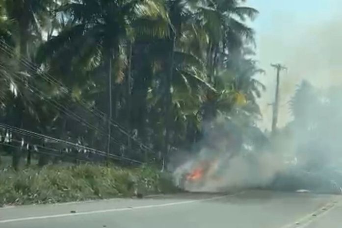 Queda de coqueiro provoca incêndio em rodovia, no litoral