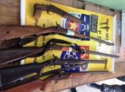 Homem é preso pela posse irregular de cinco armas de fogo