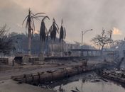 Incêndios florestais no Havaí: número de mortos sobe para 93