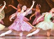 Em apresentação única, Ballet Nacional da Rússia apresenta “A Bela Adormecida”