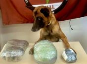 Ações da PM terminam com prisão e apreensões de drogas e arma no interior de Alagoas