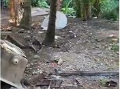 Polícia divulga imagens do local onde bebê de 8 meses foi morto após ser pisoteado, mordido e jogado no chão por padrasto 