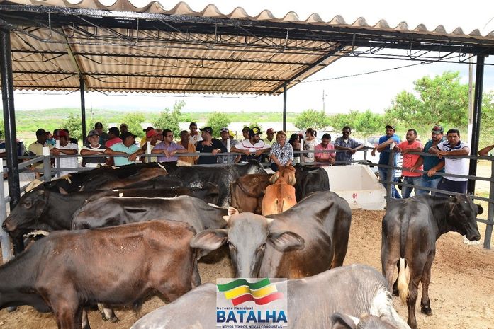 Feira de animais é iniciada em Batalha