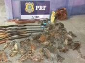 PRF prende quatro pessoas por porte ilegal de armas de fogo e crime ambiental; veja vídeo