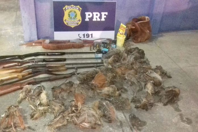 PRF prende quatro pessoas por porte ilegal de armas de fogo e crime ambiental; veja vídeo