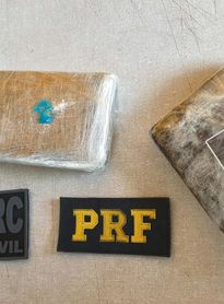 Polícia apreende 3 kg de cocaína e maconha em ônibus interestadual que seguia para Maceió; veja vídeo