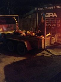 Abatedouro clandestino é fechado por condições insalubres no interior de Alagoas