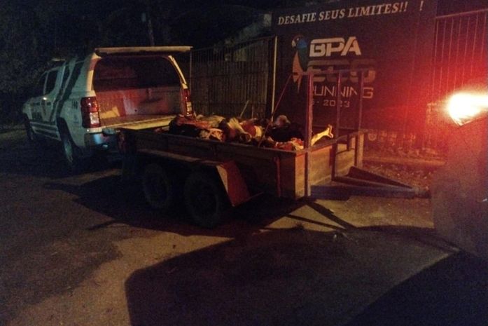 Abatedouro clandestino é fechado por condições insalubres no interior de Alagoas