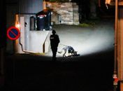 Homem mata várias pessoas na Noruega em ataque com arco e flecha