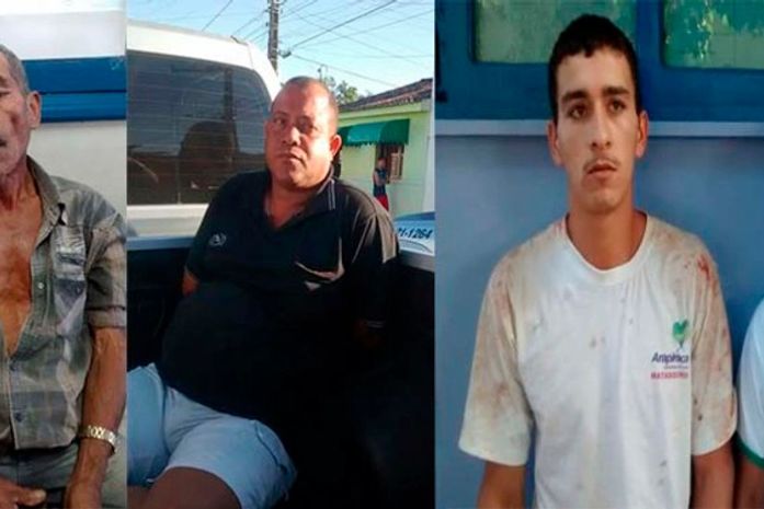 Quatro são presos, armas, drogas e animais são apreendidos