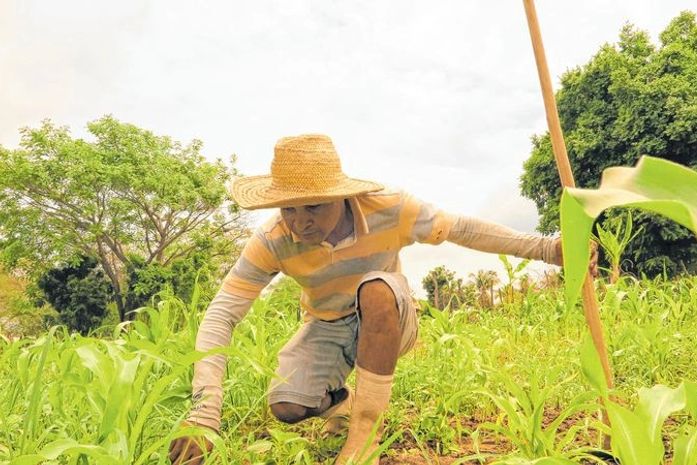 Agricultor