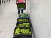 Agricultores de Penedo entregam primeira remessa de itens para alimentação escolar em 2023