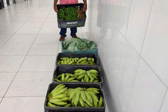 Agricultores de Penedo entregam primeira remessa de itens para alimentação escolar em 2023