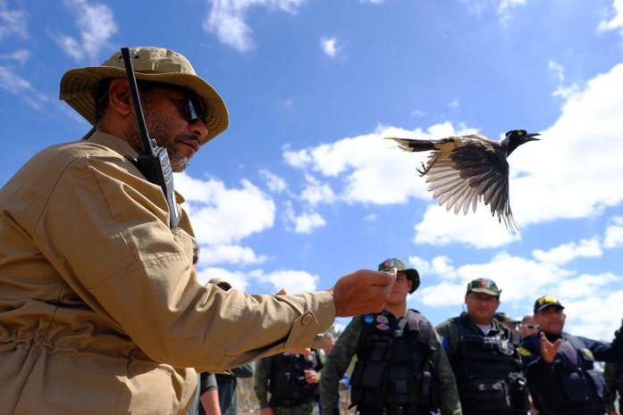 FPI devolve 335 animais silvestres à natureza