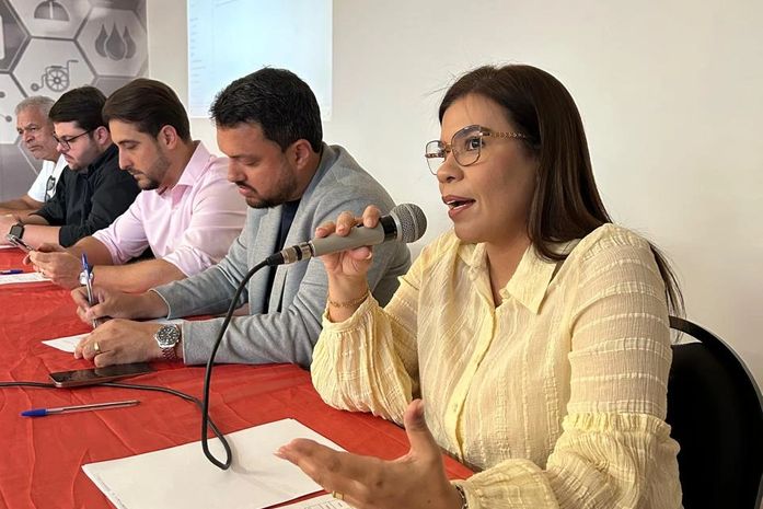 Secretários e técnicos de Saúde discutem vasta pauta em CIB