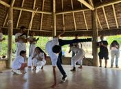 Secretária, Marília Albuquerque, que tal convidar a Capoeira para a Formação de Redes no  Enfrentamento ao Feminicídio, em Alagoas?