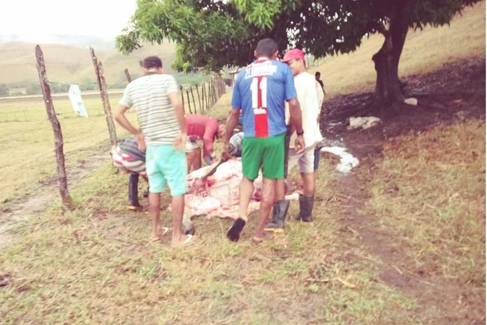 Fato aconteceu no Sitio Jenipapo Mariana.