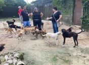 No local, não foram encontradas irregularidades; animais estavam em condições adequadas

