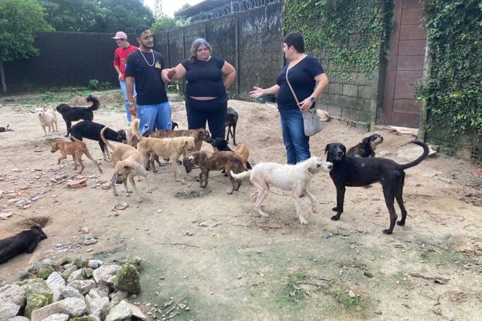 No local, não foram encontradas irregularidades; animais estavam em condições adequadas